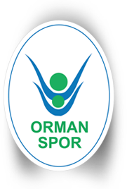 Ogm Ormanspor
